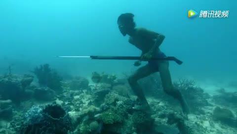 以下哪个职业与宠物美容业密切相关?宠物造型师还是宠物托管师?蚂蚁新村答案